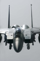 Close View of F-15E Strike Eagle of the US Air Force Fine Art Print