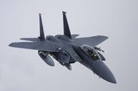F-15E Strike Eagle of the US Air Force by Daniel Karlsson - various sizes - $47.99