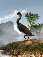 Hesperornis on the shore of a lake looking around Fine Art Print