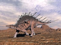 Kentrosaurus dinosaur walking in the desert Fine Art Print