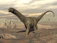 Large Argentinosaurus dinosaur walking on rocky terrain Fine Art Print