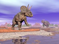 Two Nedoceratops next to water in a colorful rocky landscape Fine Art Print