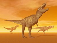 Tyrannosaurus Rex dinosaurs in an orange foggy desert by sunset Fine Art Print