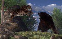 A saber-toothed cat leaps at a grizzly bear on a mountain path Fine Art Print
