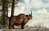 A woolly rhinoceros trudges through the snow, Pleistocene epoch Fine Art Print