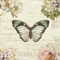 Marche de Fleurs Butterfly II Fine Art Print