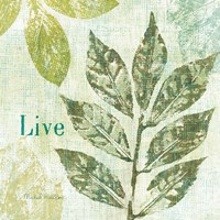 Natures Impressions I Fine Art Print