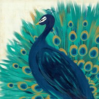 Proud as a Peacock II Fine Art Print
