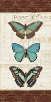 Papillons I Framed Print