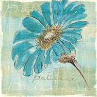 Spa Daisies II Fine Art Print