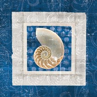 Sea Shell II on Blue Fine Art Print