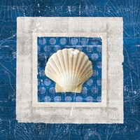 Sea Shell III on Blue Fine Art Print