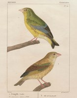 Sylvains I Fine Art Print