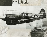 Wings Collage II Fine Art Print