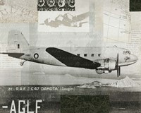 Wings Collage IV Fine Art Print