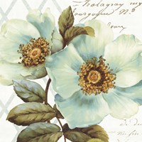 White Floral Bliss I Fine Art Print