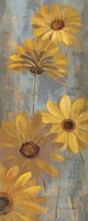 Yellow Gerberas II Fine Art Print