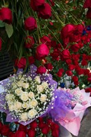 Flower Market, Chongqing City, Chongqing Province, China Fine Art Print