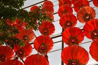 Red Lanterns on Boai Lu, Dali, Yunnan Province, China Fine Art Print