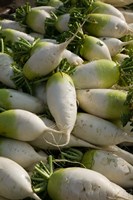 Xizhou town market, Yunnan Province, China Fine Art Print