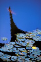 Lily Pond and Temple Reflection in Blue, China Fine Art Print