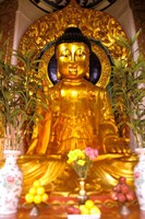 Golden Buddha in Sha Tin Cemetery, Hong Kong, China Fine Art Print