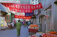 Hutong in Market Street, Beijing, China Fine Art Print