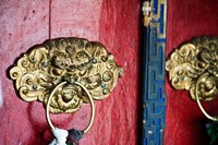 Dragon Head Door Grip, Likir, Ladakh, India Fine Art Print