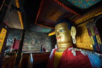 Golden Buddha, Shey, Ladakh, India Fine Art Print