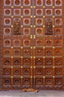 Dog and Door at Temple in Sai Baba ashram, India Fine Art Print