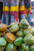 Pile of Coconuts, Bangalore, India Fine Art Print