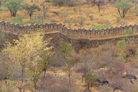 Ancient wall around old fort above Udaipur, India Fine Art Print