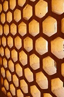 Architectural details, Amber Fort, Jaipur, India Fine Art Print