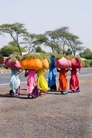 Women Carrying Loads on Road to Jodhpur, Rajasthan, India Fine Art Print