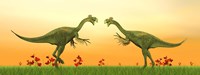 Two Gigantoraptor dinosaurs fighting on green grass by sunset Fine Art Print