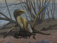 A Deinonychus protects its kill, a psittacosaurid dinosaur Fine Art Print