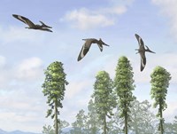 Pteranodon longiceps trio, two males and a female by Emily Willoughby - various sizes