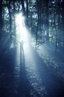 Silhouette of a man standing in the misty rays of a dark forest, Denmark Fine Art Print