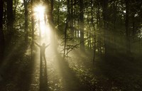 Silhouette of a man standing in the sunrays of a dark, misty forest, Denmark Fine Art Print