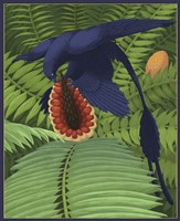 Microraptor gui snacking on a cycad fruit Fine Art Print