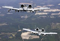 Two A-10C Thunderbolt aircraft near Moody Air Force Base, Georgia Fine Art Print