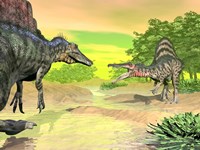 Confrontation between two Spinosaurus dinosaurs Fine Art Print