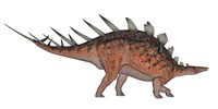 Kentrosaurus dinosaur, white background Fine Art Print
