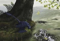 Microraptor gui eating a small fish Fine Art Print