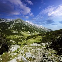 A green valley through Pirin Mountains, Pirin National Park, Bulgaria Fine Art Print