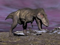 Aggressive Tyrannosaurus Rex dinosaur walking in the desert Fine Art Print