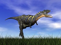Aucasaurus dinosaur running in the grass Fine Art Print