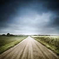 Country road through fields, Denmark Fine Art Print