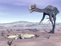 Female Gigantoraptor dinosaur walking to its nest full of eggs Fine Art Print