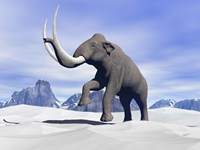 Large mammoth walking slowly on the snowy mountain by Elena Duvernay - various sizes